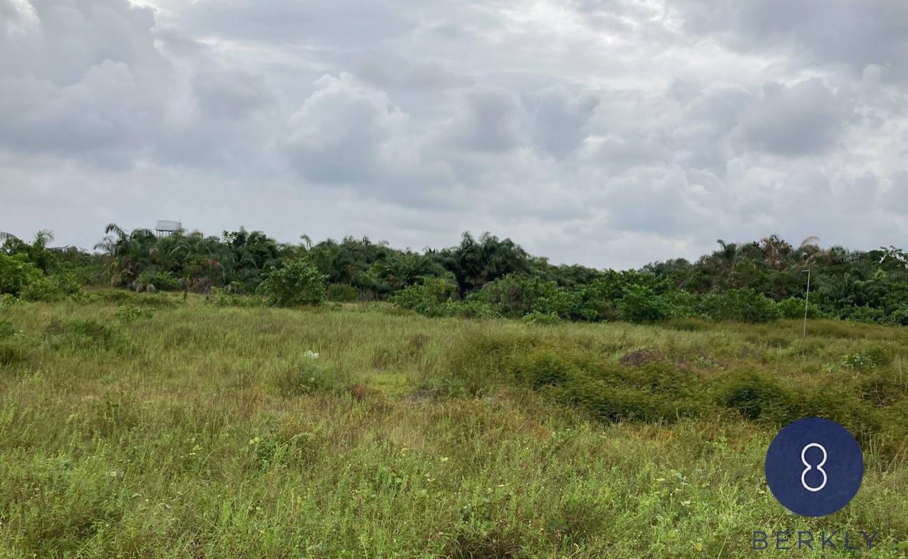2 Hectares of land (2)